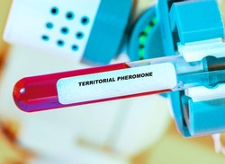 Territorial Pheromone In test tube in biochemical lab Territorial pheromones mark the boundaries and identity of an organism's territory.