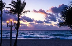 Purple Silhouette Tropical Palm Trees At Sunrise in Hollywood Florida beach