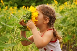 Child and sunflower, summer, nature and fun. Summer holiday.