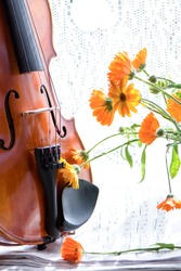 Bottom half of a violin with sheet music and flowers the front of the fiddle on windows.
