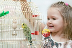 Little girl with budgie 