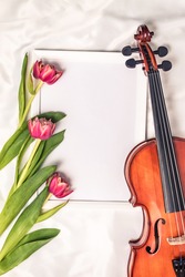 Pink tulips and a violin on frame for your text on the white silk blanket, copy space
