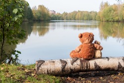 Stuffed toys animal Teddy bear and bunny sitting and cuddle on the shore of a forest lake. Back view