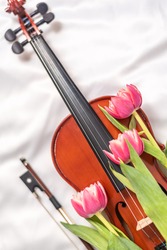 Top view of antique violin on white cloth with tulips on top. Elegant musical instrument and bow. Concept of artistry, jazz and blues music, concert, spring and art