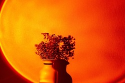 Dry flower twigs in ceramic vase with dark shadow behind illuminated by directed orange spotlight beam against wall at home copyspace