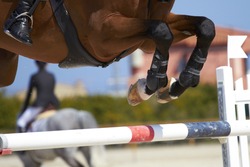 Horse jump a hurdle in a competition/Horse jump
