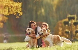 Mother with her daughter have walk with two Golden Retriever dogs in the park.