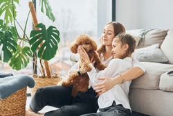 Mother with her daughter playing with dog. Cute little poodle puppy is indoors in the modern domestic room.