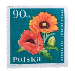 POLAND - CIRCA 1964: a stamp printed in the Poland shows Oriental Poppy, Garden Flower, circa 1964