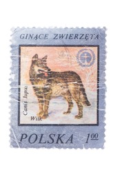 POLAND: A stamp printed in Poland from the 
