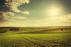 Agricultural landscape with green fields on hills and sun, vintage picture