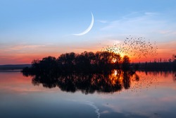 Ramadan Concept - Birds silhouettes flying above the lake against sunset