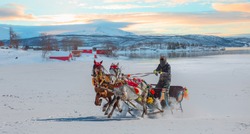 Cracking ice, frozen lake coast at sunrise - Horses pulling sleigh in winter 