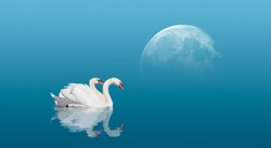 A pair of swans with reflection on the water under full moon 