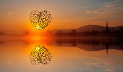 Birds silhouettes flying above the lake at amazing sunset (in shape of heart)