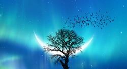 Silhouette of birds flying over the lone dead  tree in the background big crescent moon and aurora borealis