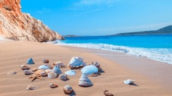 Sea shells on sand background   Kaputas Beach, Mediterranean Sea