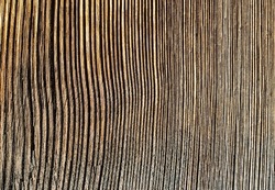A very marked old wood plank. very marked and hardened tree rings