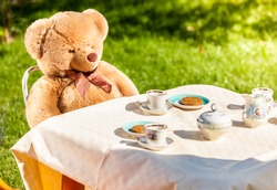 Outdoor photo of teddy bear sitting at yard and having english breakfast
