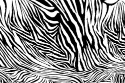 Zebra texture fabric style.
