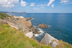 Grassy Meadow Leading to a Rocky Coast in Cape Breton Highlands National Park in Nova Scotia
