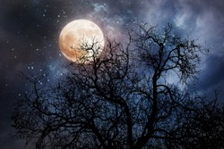 halloween background with moon and dead tree