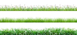 green grass and flowers isolated on white background