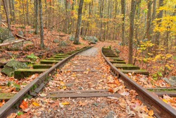 Autumn forest scene with old logging railroad tracks from the Yankee Horse Ridge section of the Blue Ridge Parkway in Virginia, USA.
