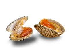 View of opened clams, baby clams, carpet clams, short neck clams on white background with clipping path.