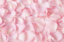 Roses petals background 