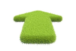 Green grass arrow on white background. 3d rendering.