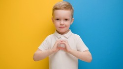 Small blond boy expresses love by showing heart sign with his hands near his chest while standing on blue-yellow studio background. Call to love, hands in shape of heart, Ukraine with love.