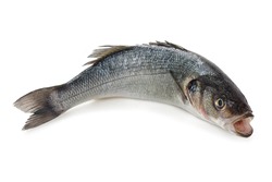  Fresh Sea bass isolated on white background