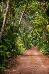 Ground rural road in the middle of tropical jungle at sunny day, vertical composition	