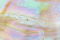 Mother of pearl sea  shell close up background