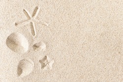 Imprint of seashells and starfish on sand, with copy space 