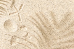 Imprint of seashells and starfish on sand, with copy space and palm shadow