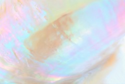 Mother of pearl sea shell close up background 