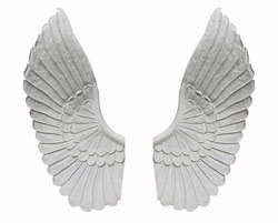 angel wing isolated on white background 