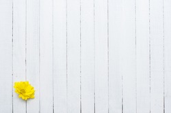 yellow flower, white wood background