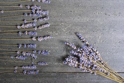 dried lavender flowers on black wood background
