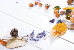 autumn dried plants on white wooden