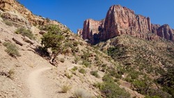 Hiking trail in the Grand Canyon, ascending toward red sandstone cliffs on North Kaibab trail.
