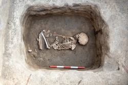Archaeological excavations. Human remains, bones of skeleton and skulls of 6 year old child in the ground tomb.