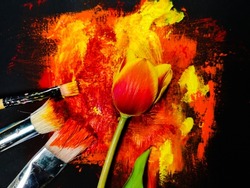 Abstract painting of a tulip with colors on black paper, tulips in the middle of the image