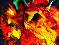 Abstract painting with the colors of a tulip on black paper, tulips in the middle of the image as seen inside the flower