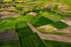 Colorful Lush Crop Fields in Rural Counrtyside Landscape. Aerial Drone View. Polish Farmlands.