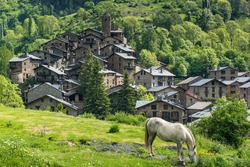 Horse grazing in front of Pyrenees village in Andorra.