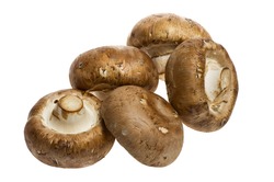 Five portobello mushrooms isolated on white