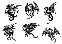 Wild black dragons for tattoo or mascot design